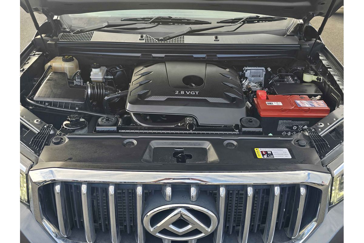 2019 LDV T60 LUXE SK8C 4X4