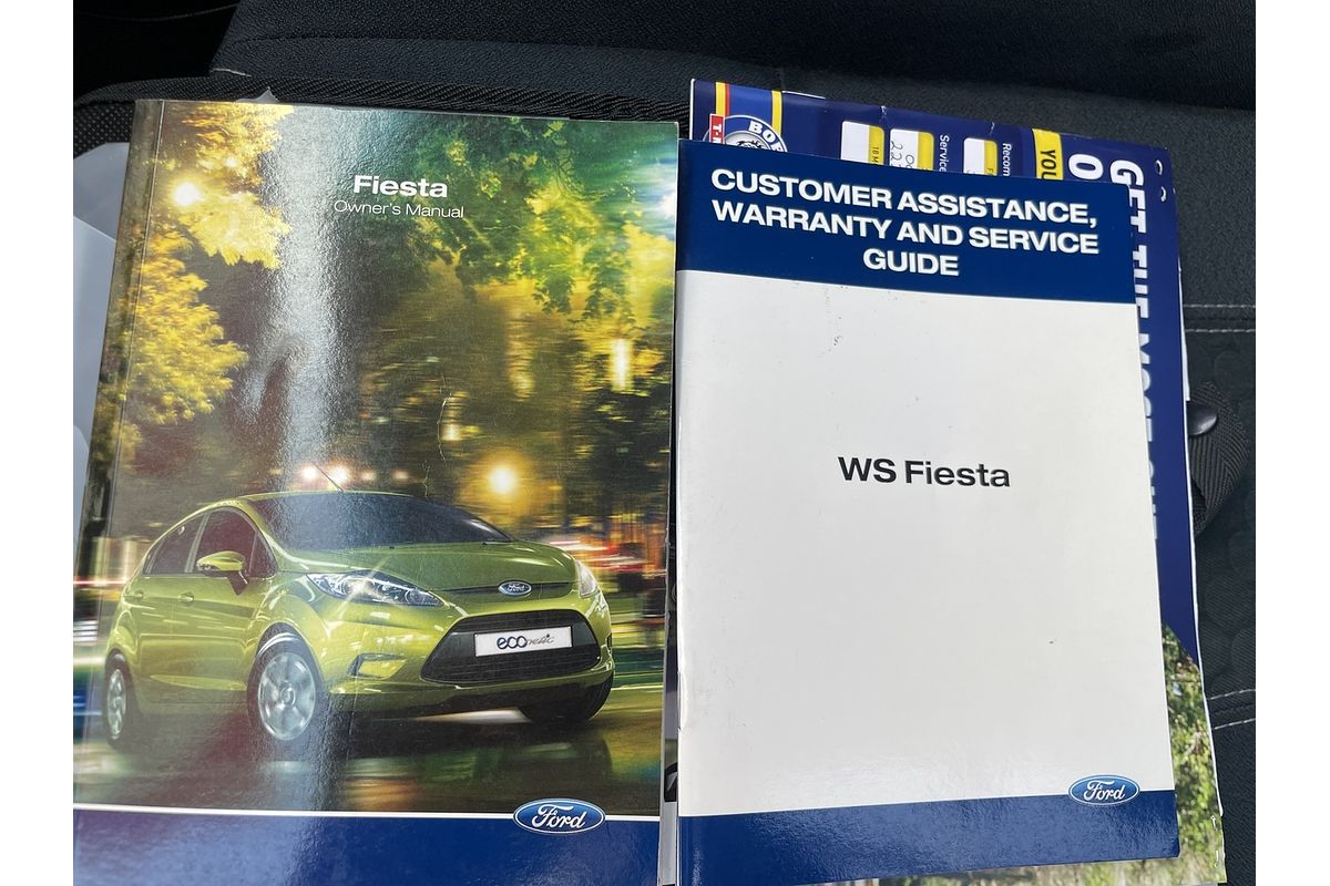 2010 Ford Fiesta Zetec WS