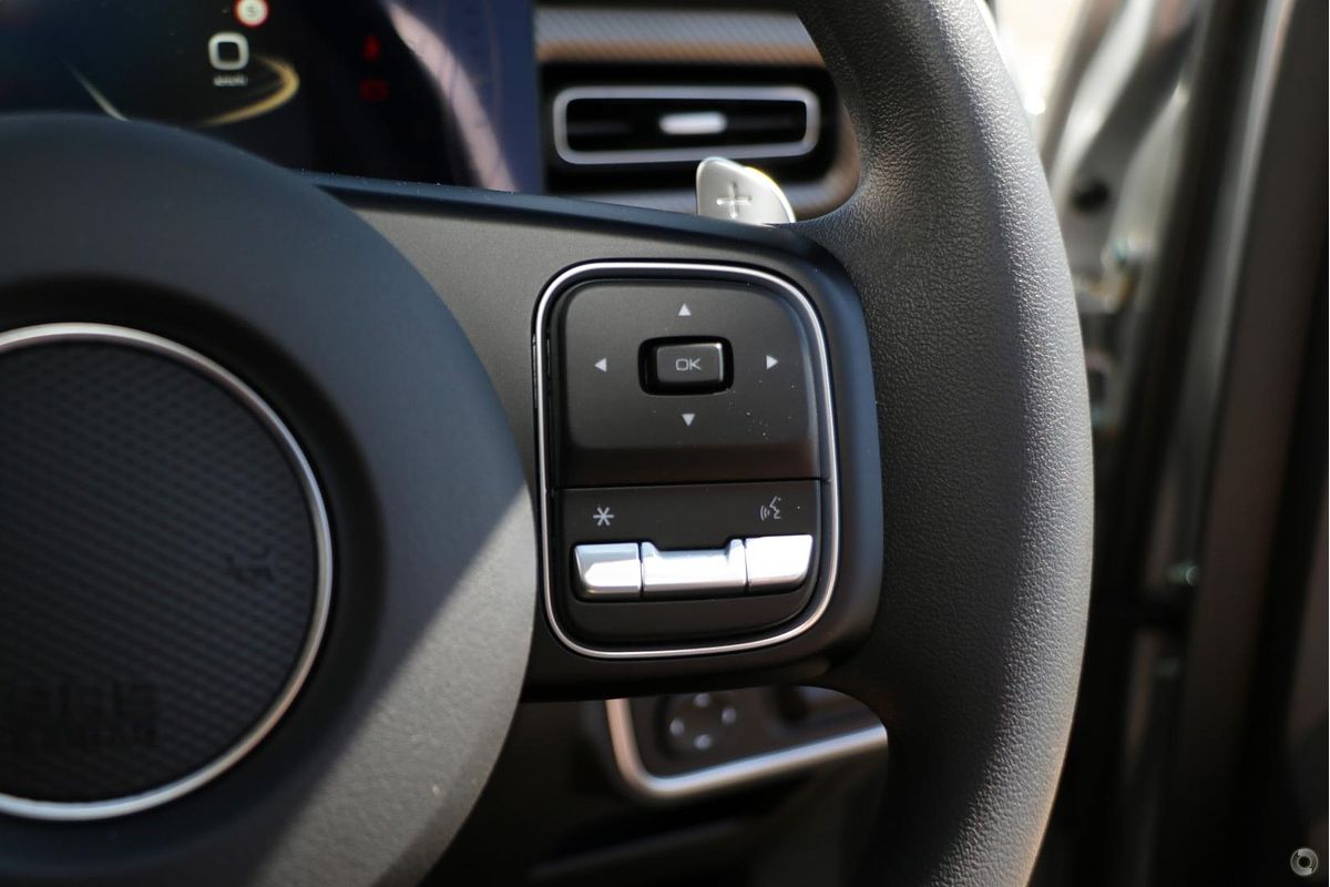 2025 GWM Cannon Premium NPW