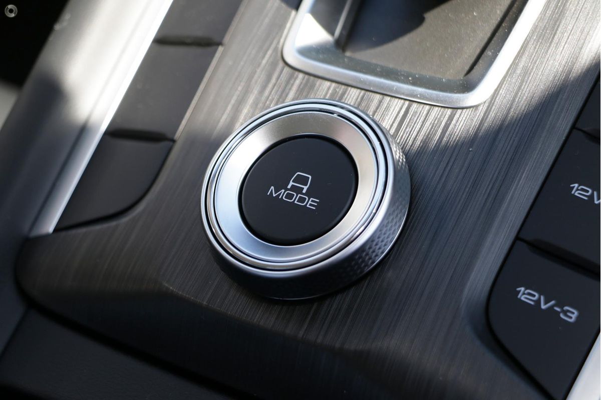 2025 GWM Cannon Premium NPW