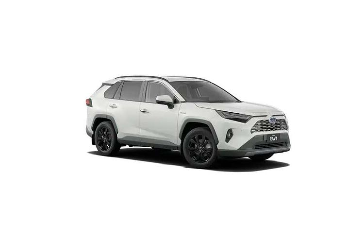 2024 Toyota RAV4 Cruiser