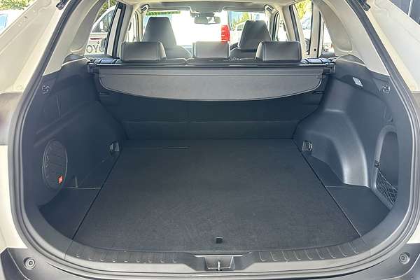 2020 Toyota RAV4 Cruiser AXAH52R