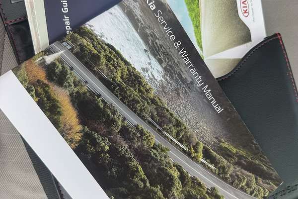 2018 Kia Carnival S YP