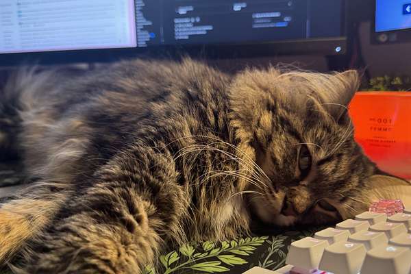 2025 Ford E-Transit Custom Sport SWB AV SWB Low Roof