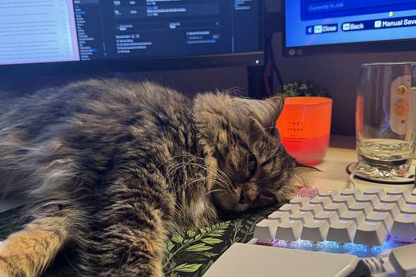 2025 Ford E-Transit Custom Sport SWB AV SWB Low Roof