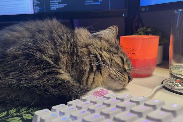 2025 Ford E-Transit Custom Sport SWB AV SWB Low Roof