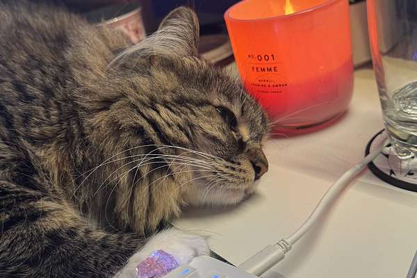 2025 Ford E-Transit Custom Sport SWB AV SWB Low Roof