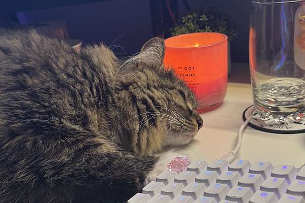 2025 Ford E-Transit Custom Sport SWB AV SWB Low Roof