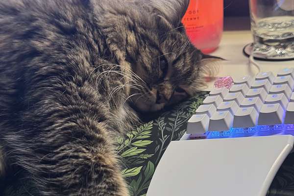 2025 Ford E-Transit Custom Sport SWB AV SWB Low Roof