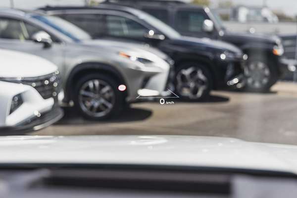 2024 Hyundai Santa Fe Calligraphy MX5.V1