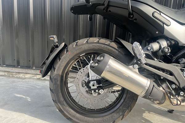 2025 Benelli Leoncino 500