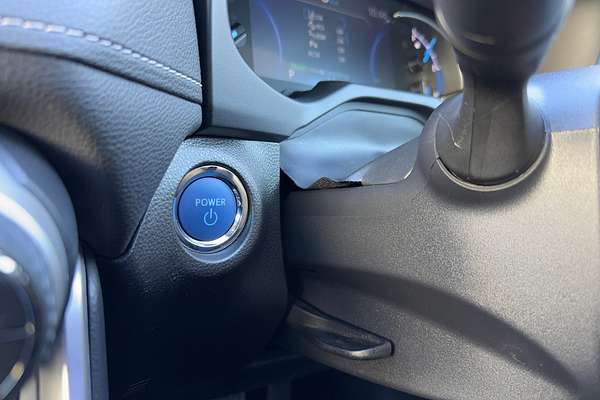 2021 Toyota RAV4 Cruiser AXAH52R