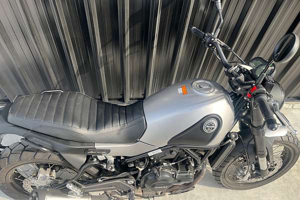 2025 Benelli Leoncino 500