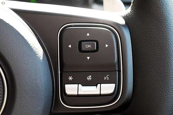 2025 GWM Cannon Vanta NPW 4X4