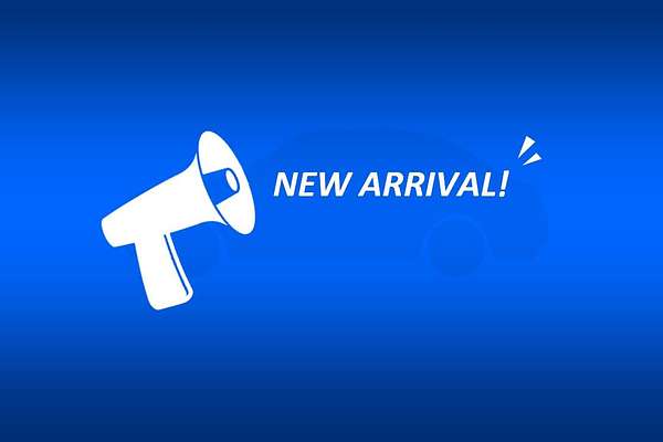 2018 Ford Transit 350L VO LWB