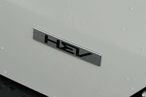 2025 Kia Carnival GT-Line HEV KA4 PE