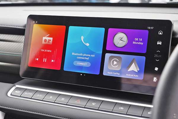 2025 GWM Cannon Premium NPW