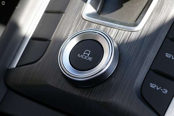 2025 GWM Cannon Premium NPW