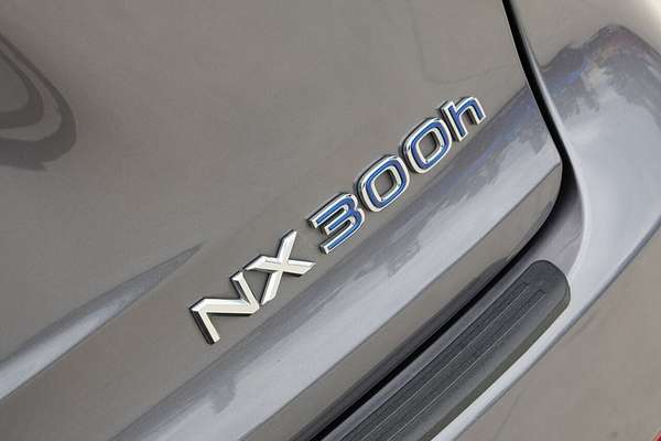 2019 Lexus NX NX300h Luxury AYZ10R