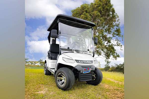 2021 LVTONG 2024 LVTONG LV Tong 2 Seater