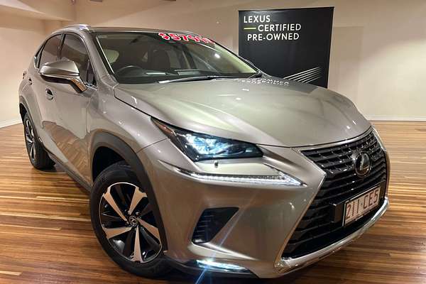 2021 Lexus NX NX300h Sports Luxury AYZ15R