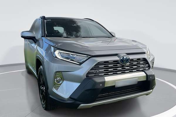 2019 Toyota RAV4 Cruiser AXAH52R