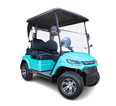  2 Seater Cart