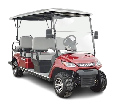  6 Seater Cart